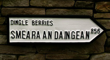 Customised Irish Road sign for Dingle Berries ( Smeara an Daingean ), the story behind this sign shall remain a mystery.