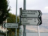 Irish road sign on road leading out of Tralee, click to enlarge.